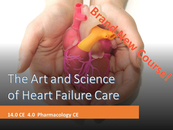 The Art and Science of Heart Failure Care: 2-Day Workshop