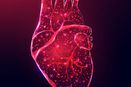 Cardiac Medicine Review