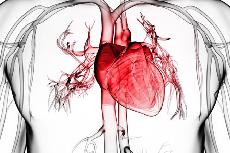 Heart Failure, Valve Disease, Congenital Heart Disease, Cardiomyopathy, and Inflammatory Diseases