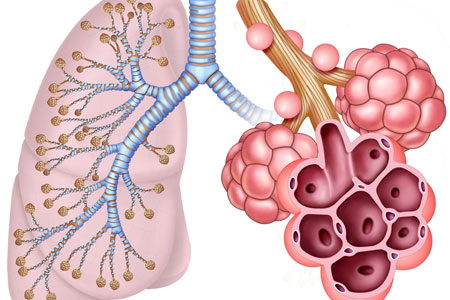 Pulmonary Review for Progressive Care