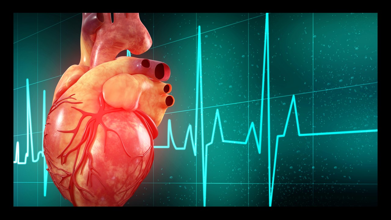 Cardiovascular Courses